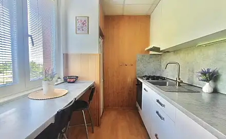 Pronájem bytu 2+1 55 m²