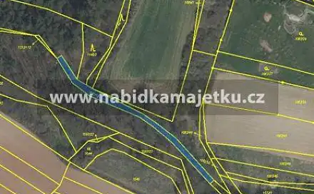 Prodej lesa 439 m²