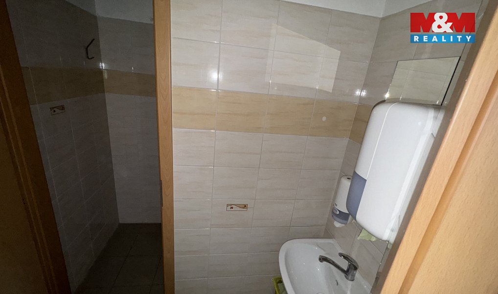 Prodej domu 180 m² s pozemkem 4 254 m², Plavy – náhled fotky 11