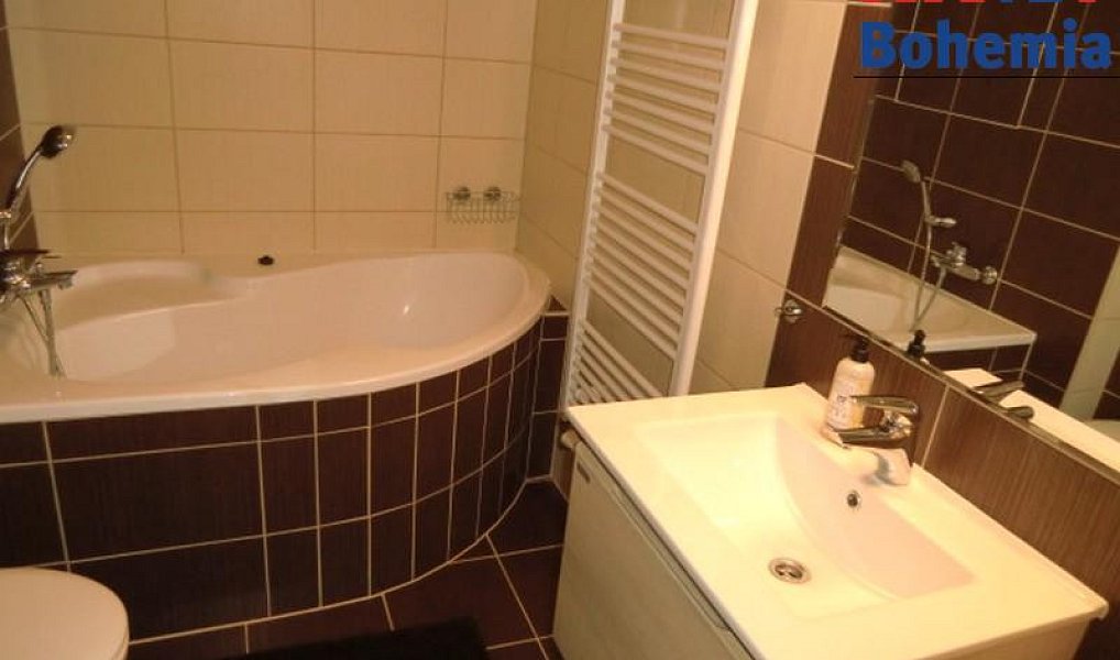 Pronájem bytu 2+kk 52 m², Benátky nad Jizerou – náhled fotky 15
