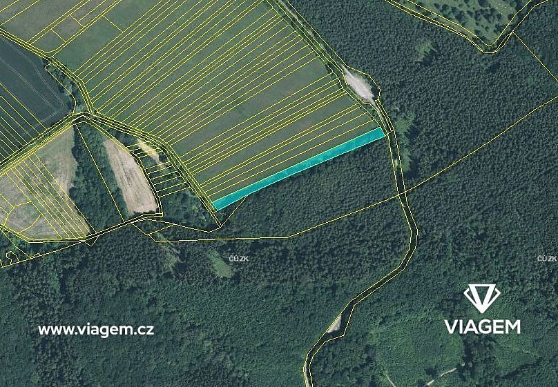 Prodej pole 1 008 m² – fotografie 3