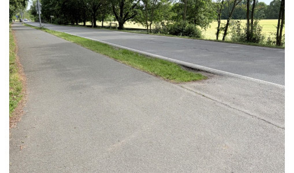 Pronájem louky 3 000 m², Pardubice – náhled fotky 5