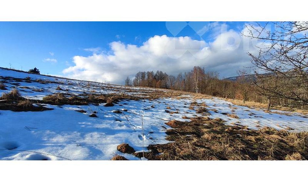 Prodej louky 3 998 m², Rudník – náhled fotky 4