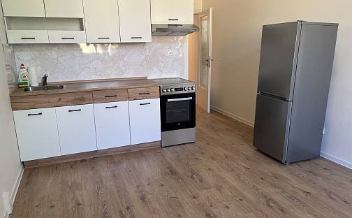 Pronájem bytu 1+kk 28 m²