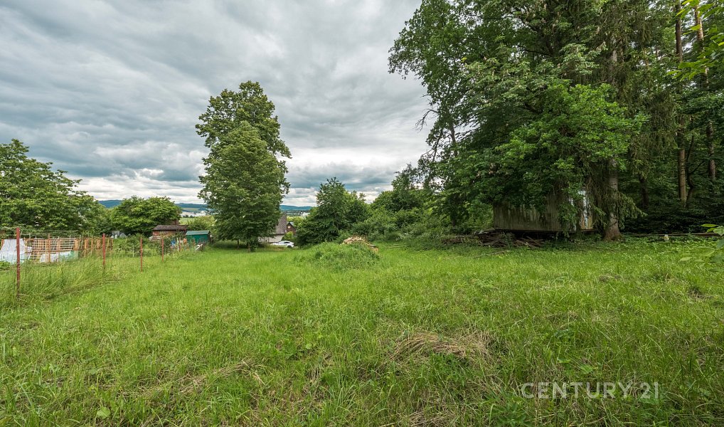 Prodej zahrady 4 170 m², Rudoltice – náhled fotky 8
