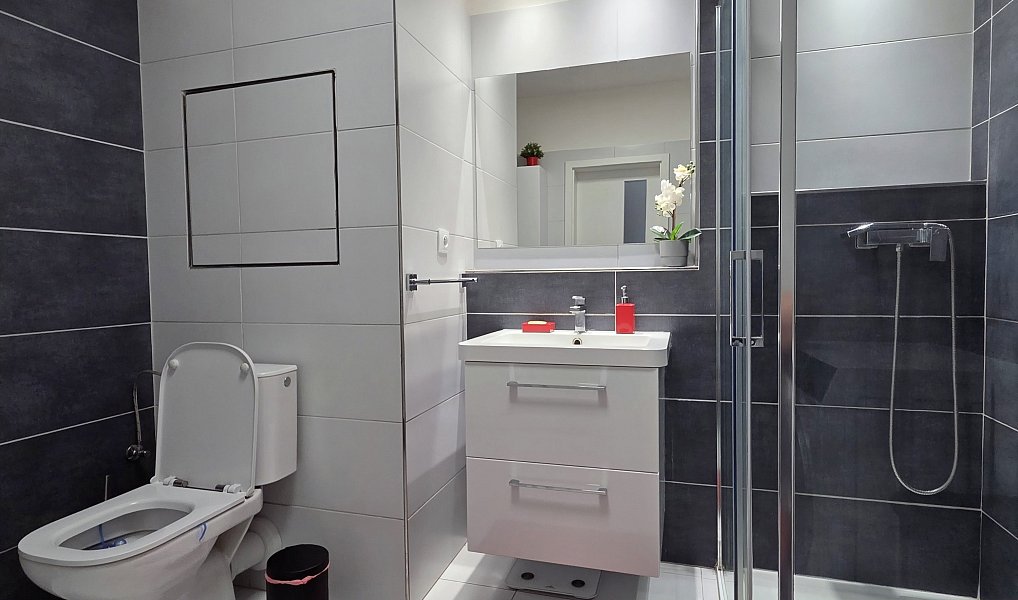 Pronájem bytu 2+kk 53 m², Brno – náhled fotky 11