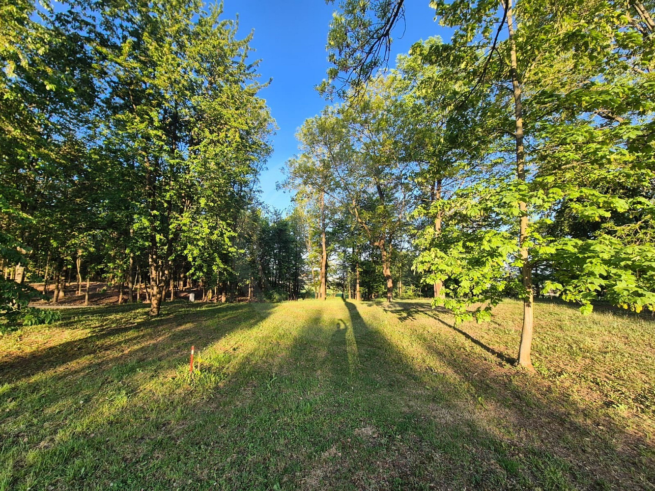 Prodej stavebního pozemku 1 980 m² – fotografie 5