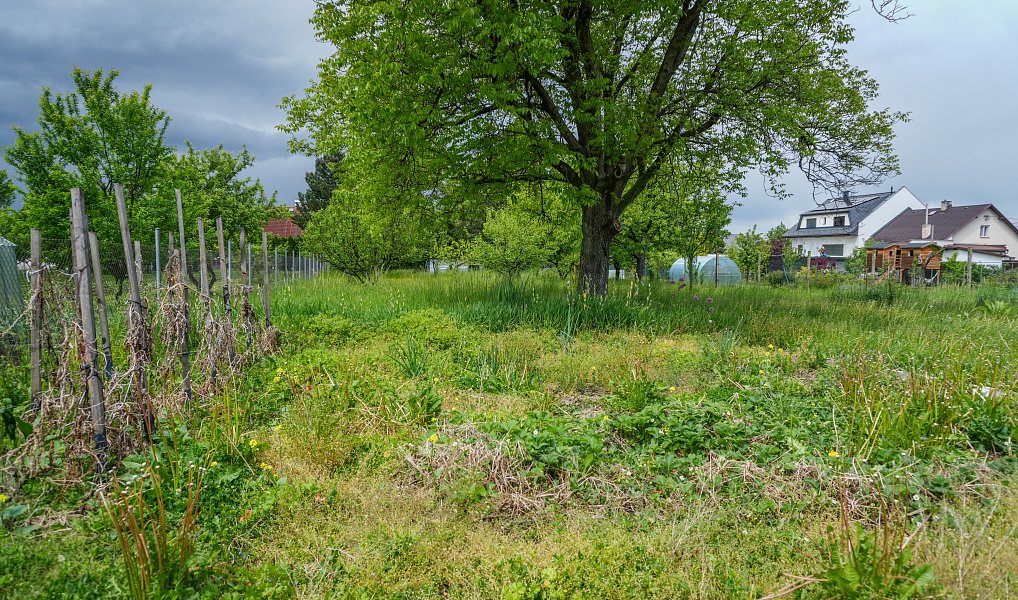 Prodej domu 634 m² s pozemkem 2 522 m², Opava – náhled fotky 31