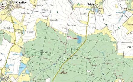 Dražba lesa 25 608 m², Skopytce