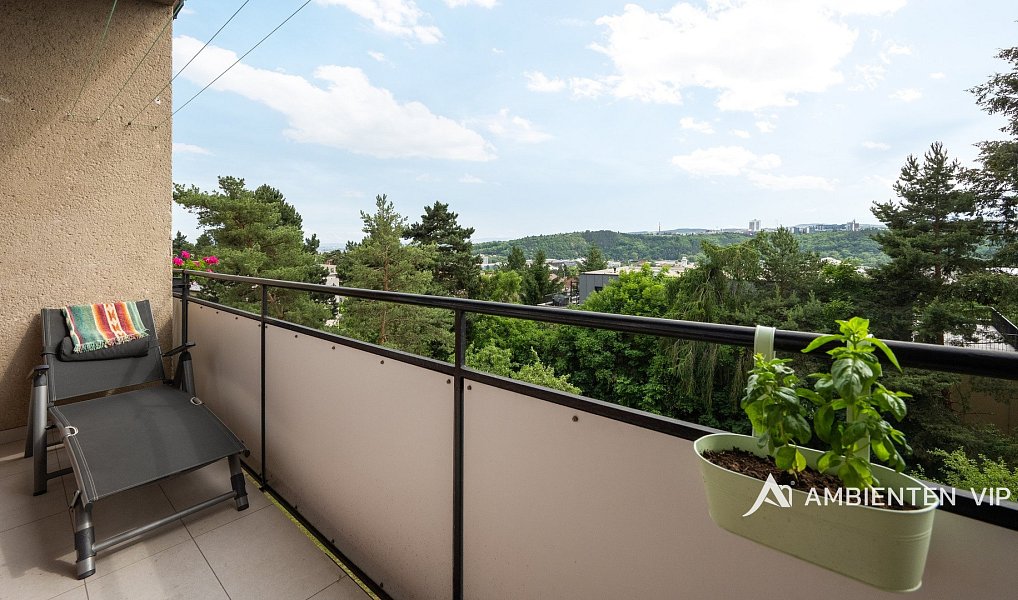 Prodej bytu 3+1 69 m², Brno – náhled fotky 9