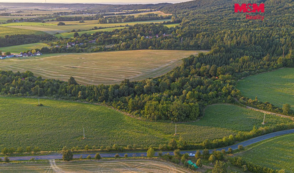 Prodej pole 10 056 m², Žlebské Chvalovice – náhled fotky 3