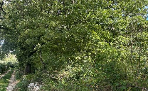 Prodej stavebního pozemku 7 834 m², Poreč, Chorvatsko