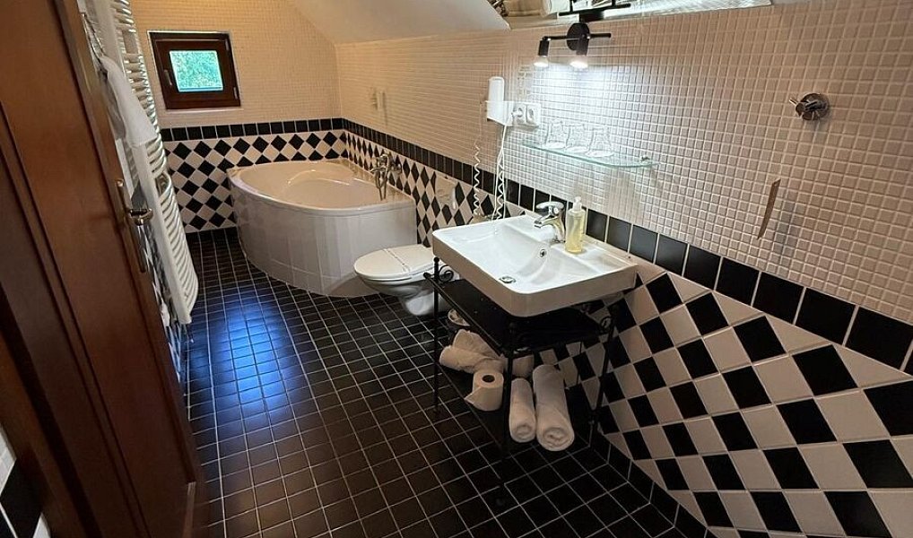 Pronájem domu 160 m² s pozemkem 378 m², Zádub-Závišín – náhled fotky 9