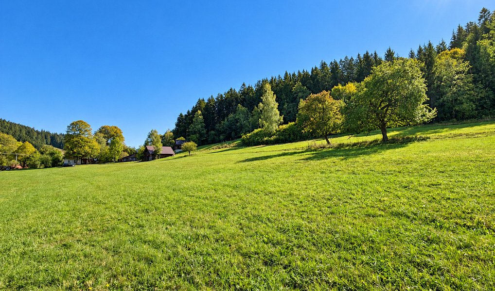 Prodej stavebního pozemku 3 256 m², Velké Karlovice – náhled fotky 13