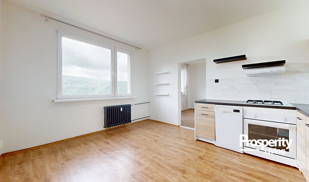 Prodej bytu 1+1 37 m², Ústí nad Labem – náhled fotky 14