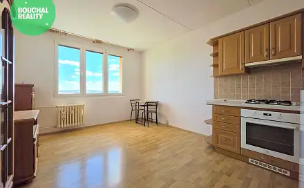 Pronájem bytu 1+1 40 m²