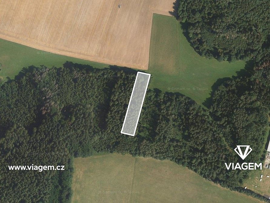 Prodej lesa 1 141 m² – fotografie 2