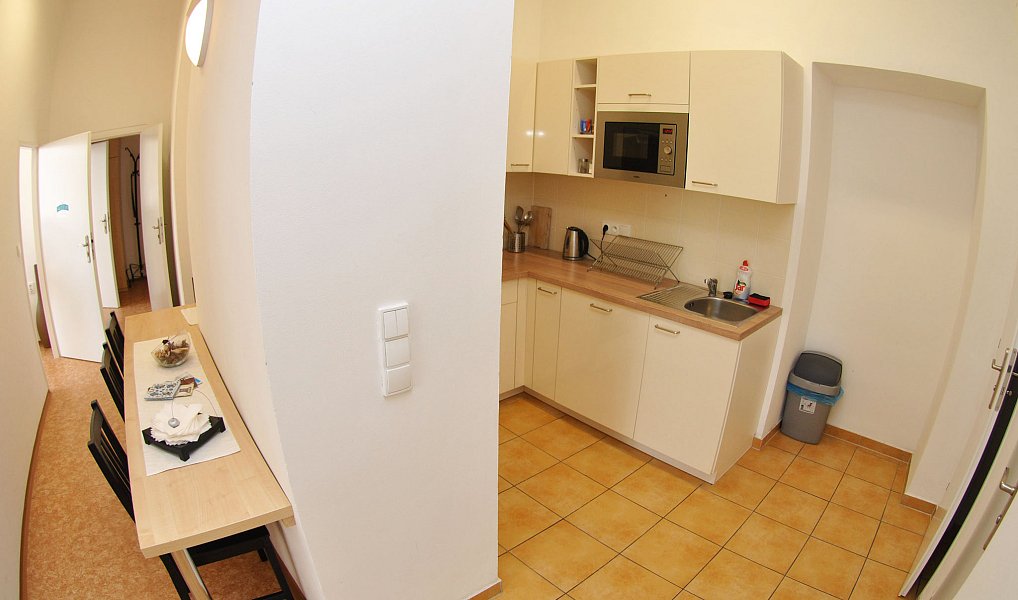 Pronájem pokoje 75 m², Brno – náhled fotky 13
