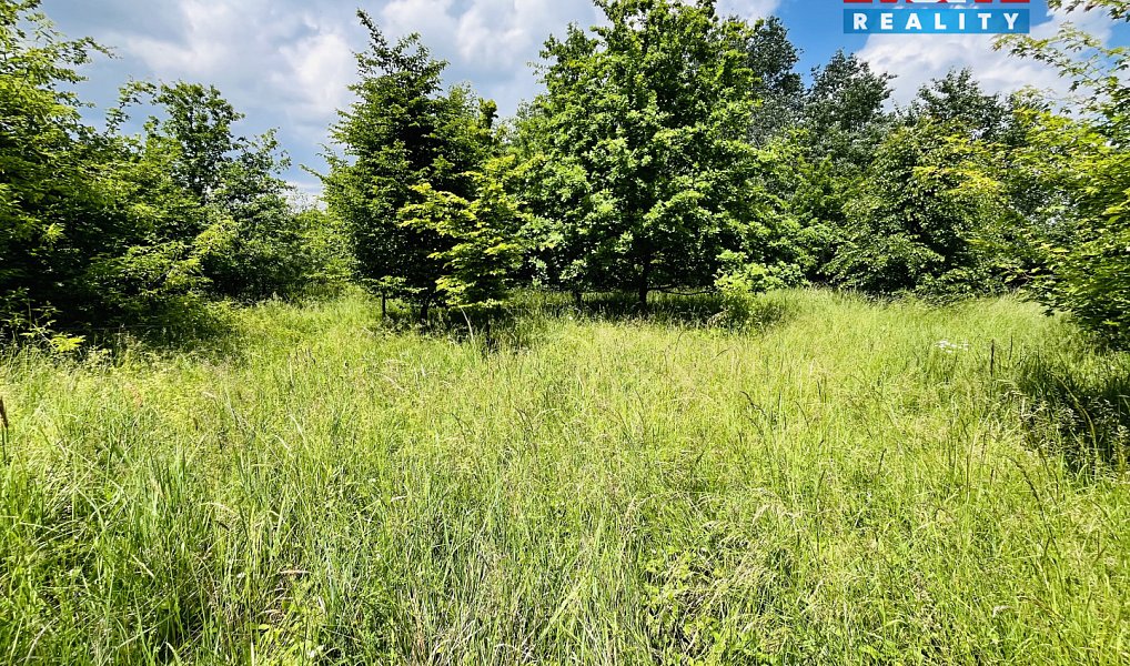 Prodej pozemku 1 026 m², Veselí nad Moravou – náhled fotky 11