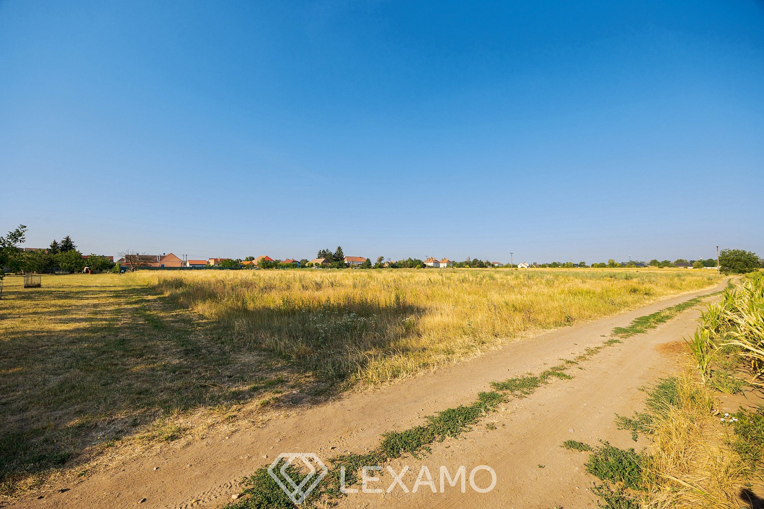 Prodej zahrady 3 930 m² – fotografie 5