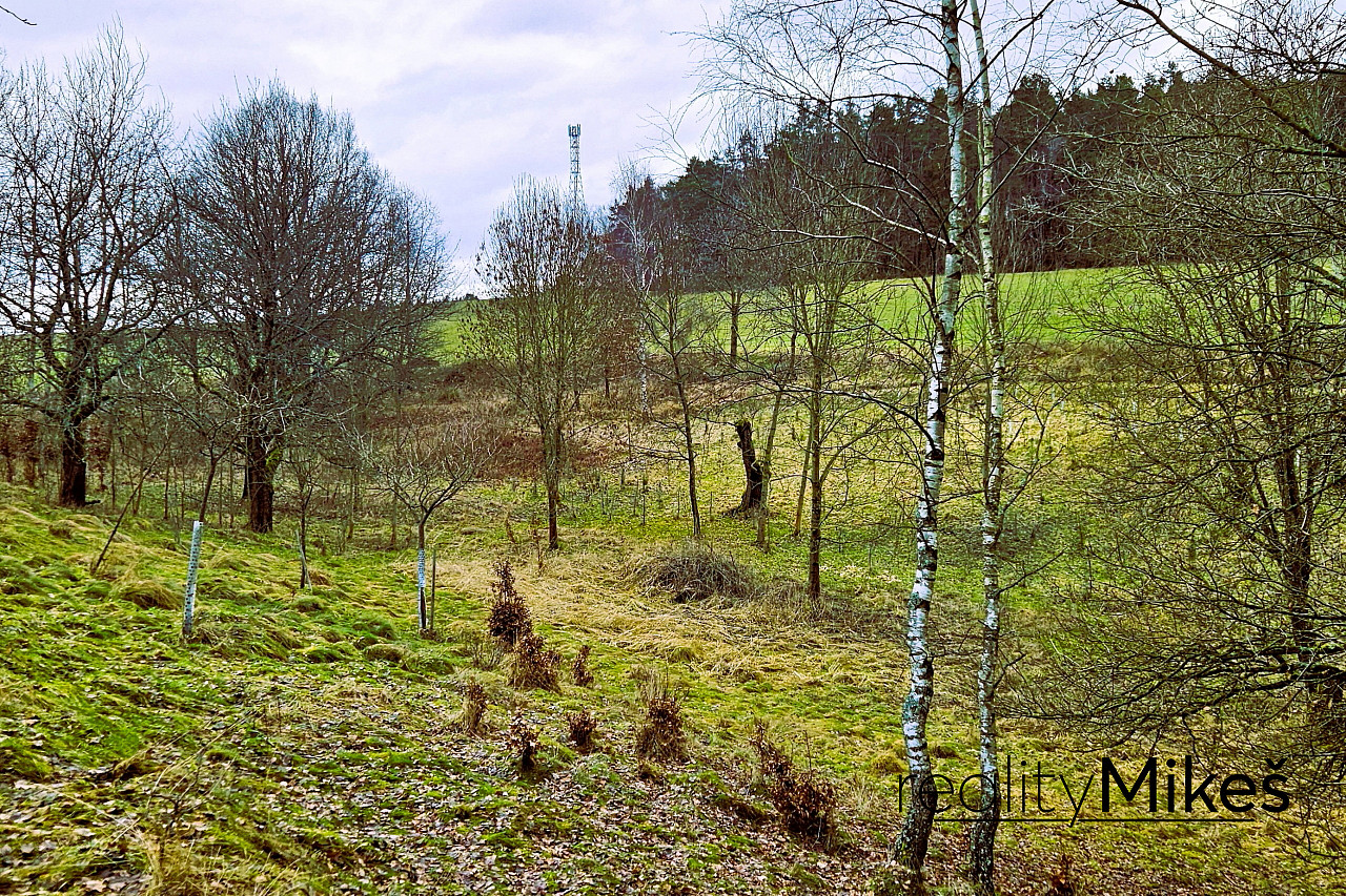 Prodej louky 4 569 m² – fotografie 3