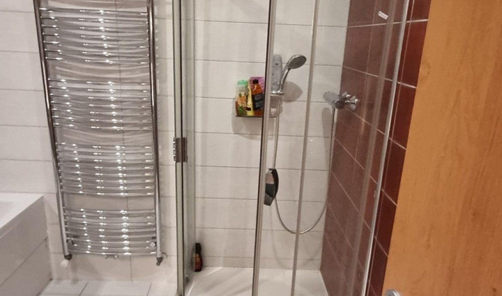 Pronájem domu 210 m² s pozemkem 500 m², Rohatec – náhled fotky 9