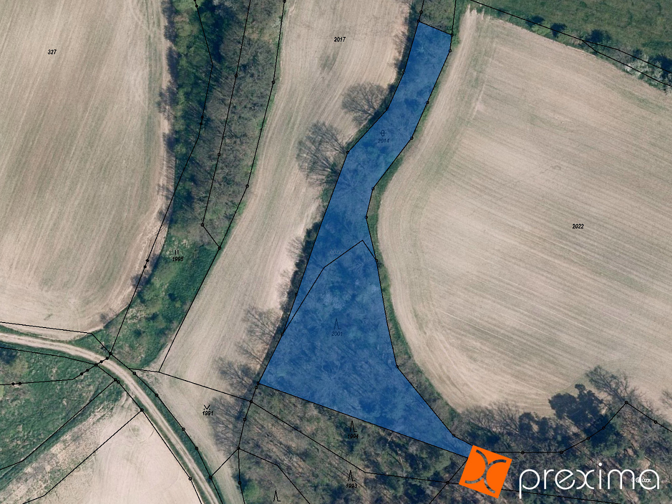 Prodej lesa 434 m²