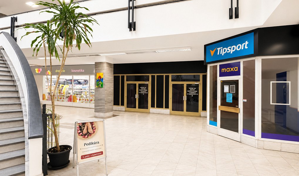 Pronájem obchodních prostor 687 m², Plzeň – náhled fotky 3