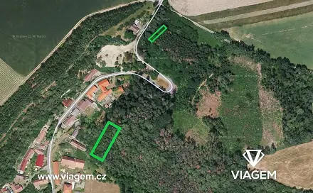 Prodej lesa 1 243 m², Vinaře, okres Kutná Hora