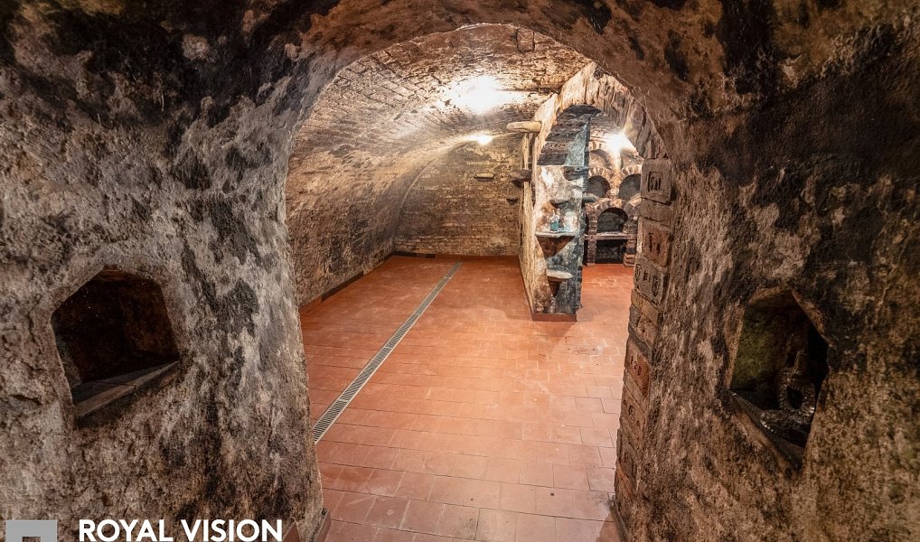 Habánský sklep v Březí historie, vinařská tradice a jedinečný potenciál, Březí – náhled fotky 20