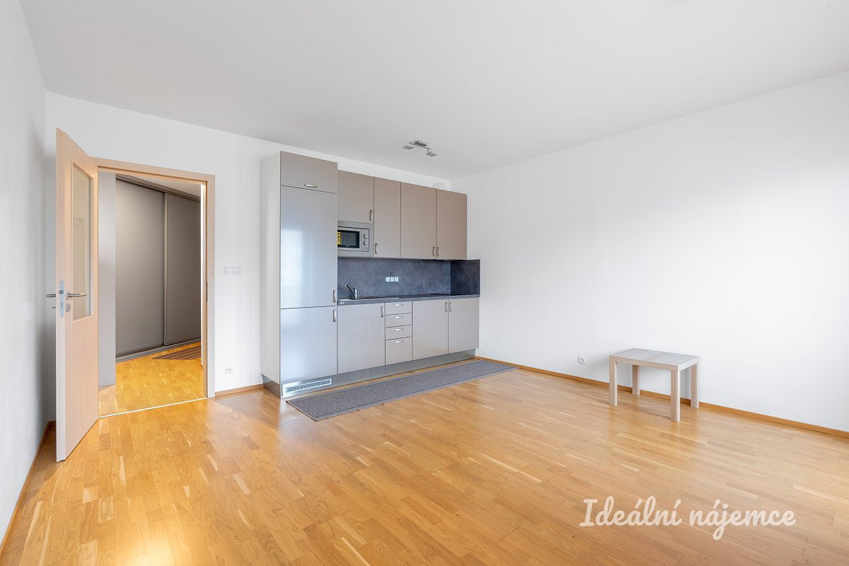 Pronájem bytu 1+kk 34 m² – fotografie 4
