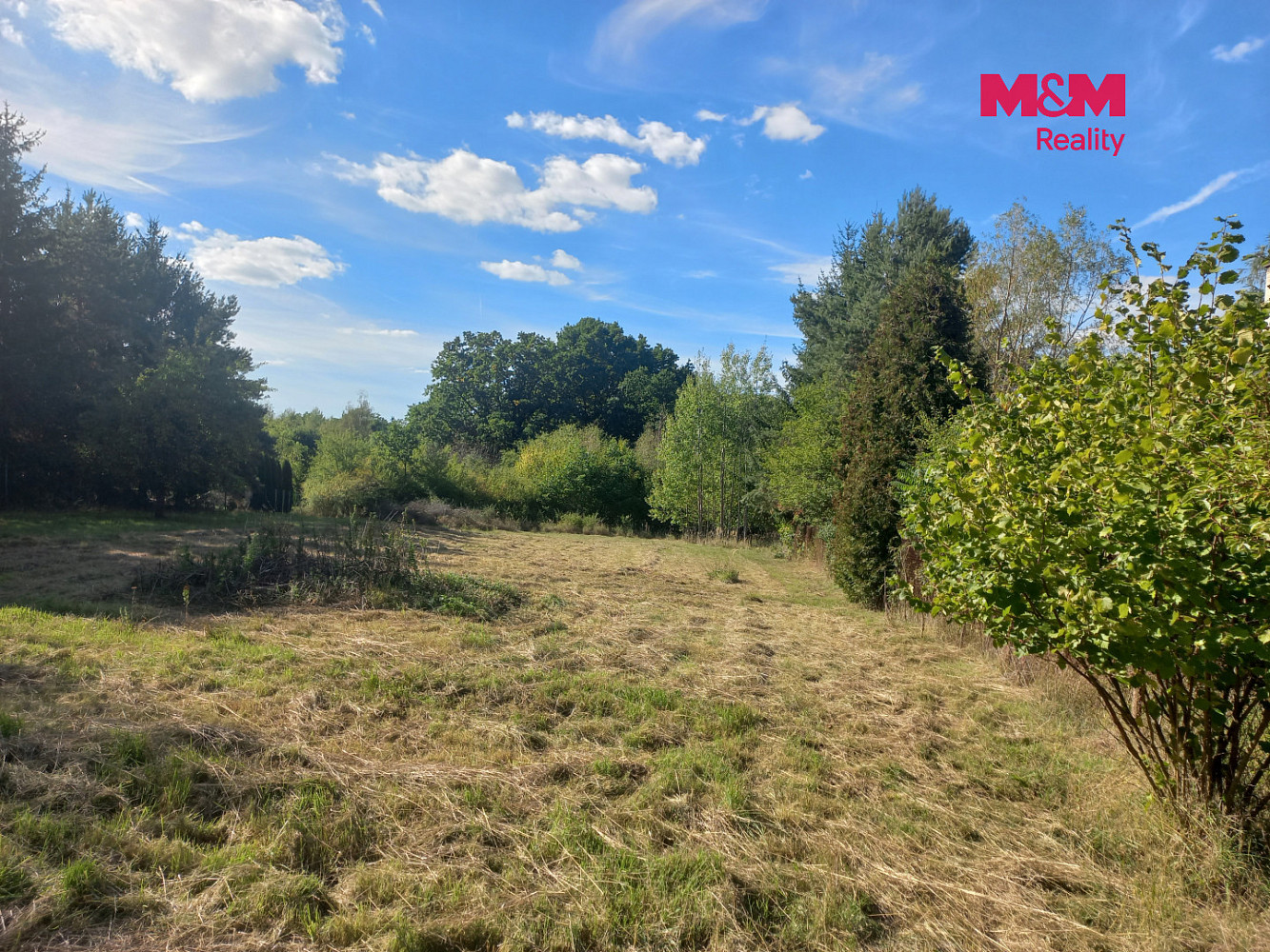Prodej stavebního pozemku 3 000 m² – fotografie 4