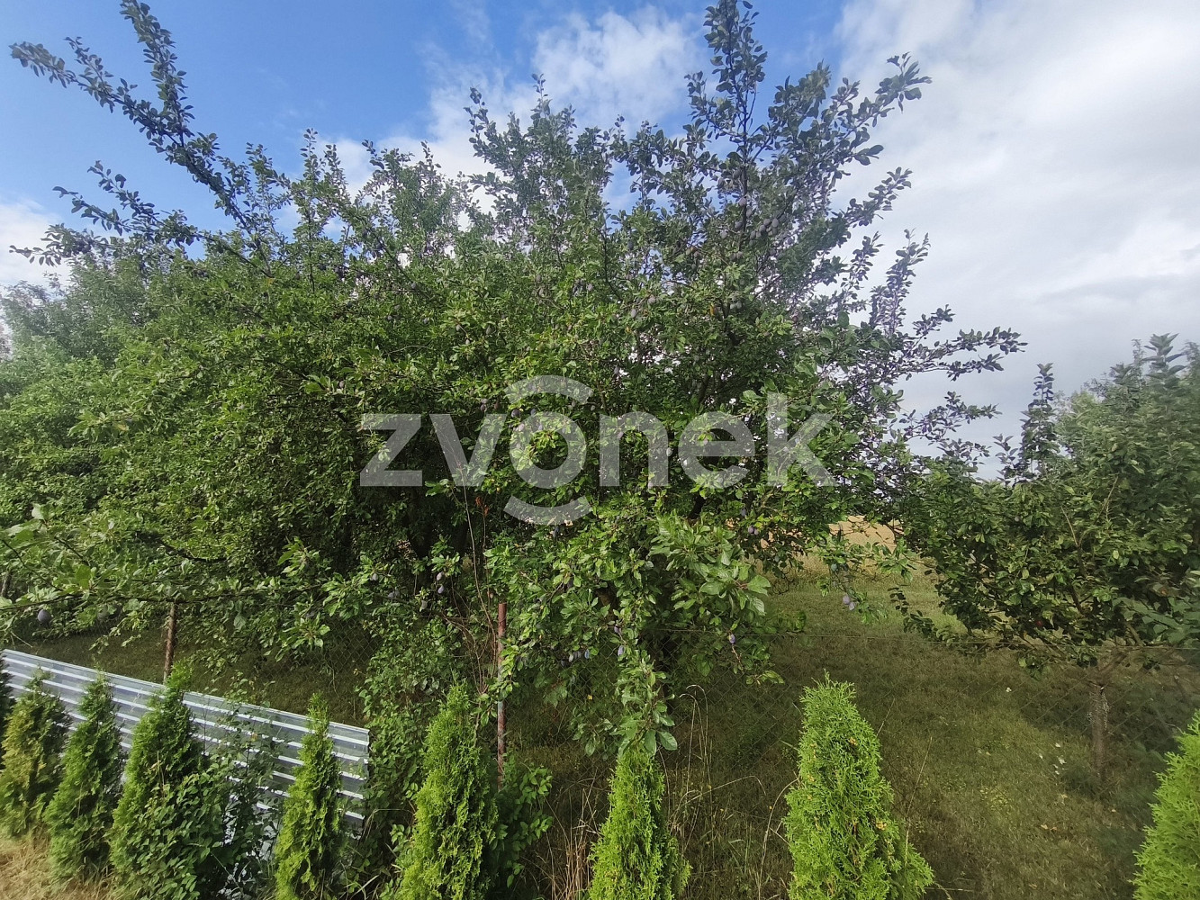 Prodej komerčního pozemku 806 m² — photo 3