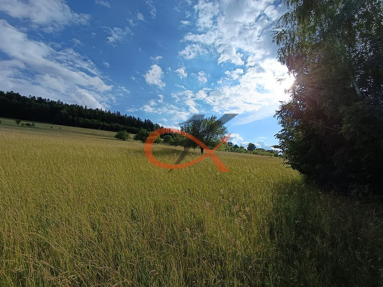 Fotka 11 z 19