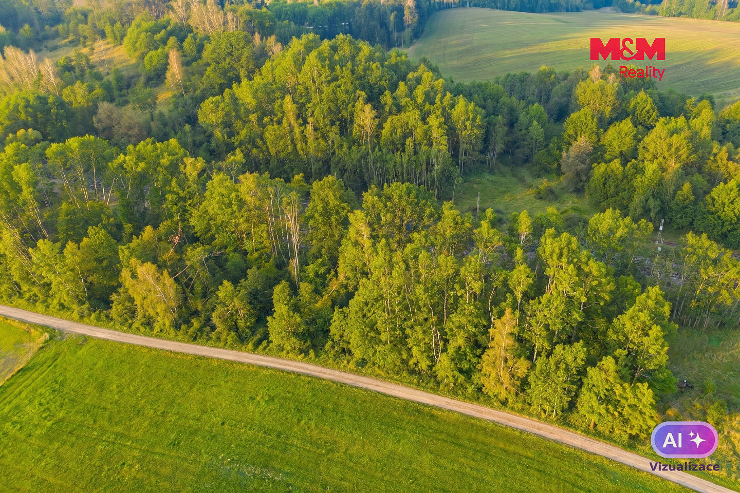 Prodej louky 4 637 m² – fotografie 5