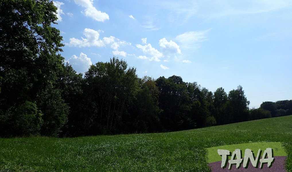 Prodej louky 49 051 m², Hodkovice nad Mohelkou – náhled fotky 9