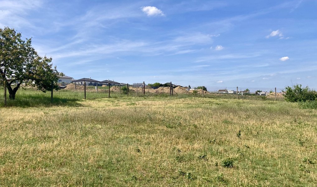 Nový Šaldorf - Sedlešovice, lisovna, 145 m2, pozemek 978 m2 vinný sklep, Nový Šaldorf-Sedlešovice – náhled fotky 13