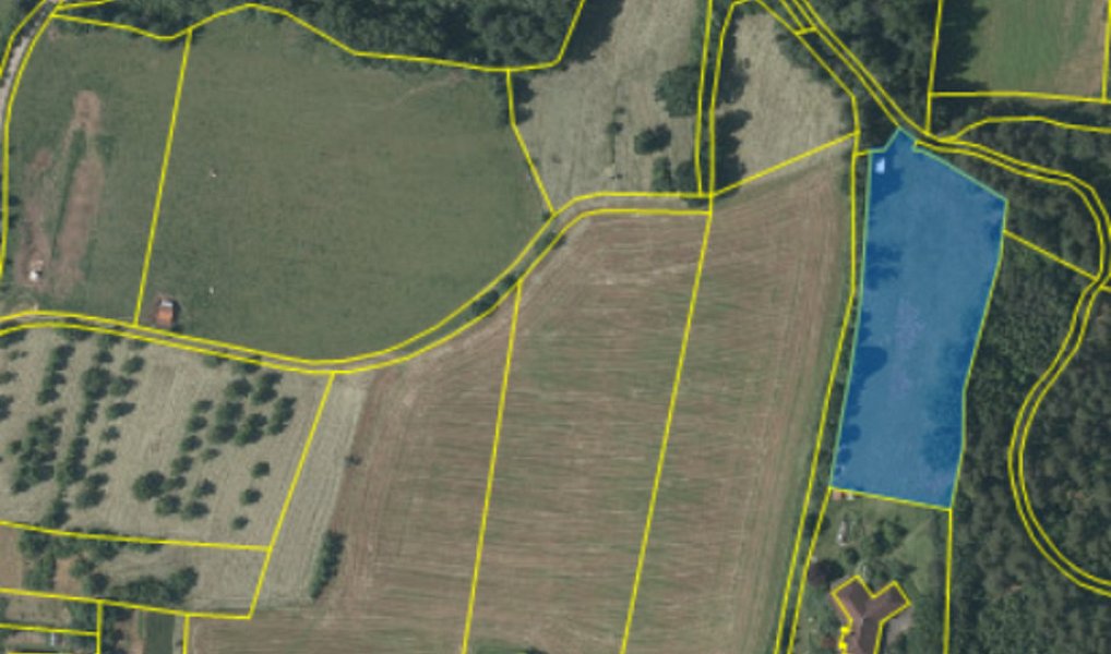 Prodej louky 5 943 m², Mičovice – náhled fotky 4