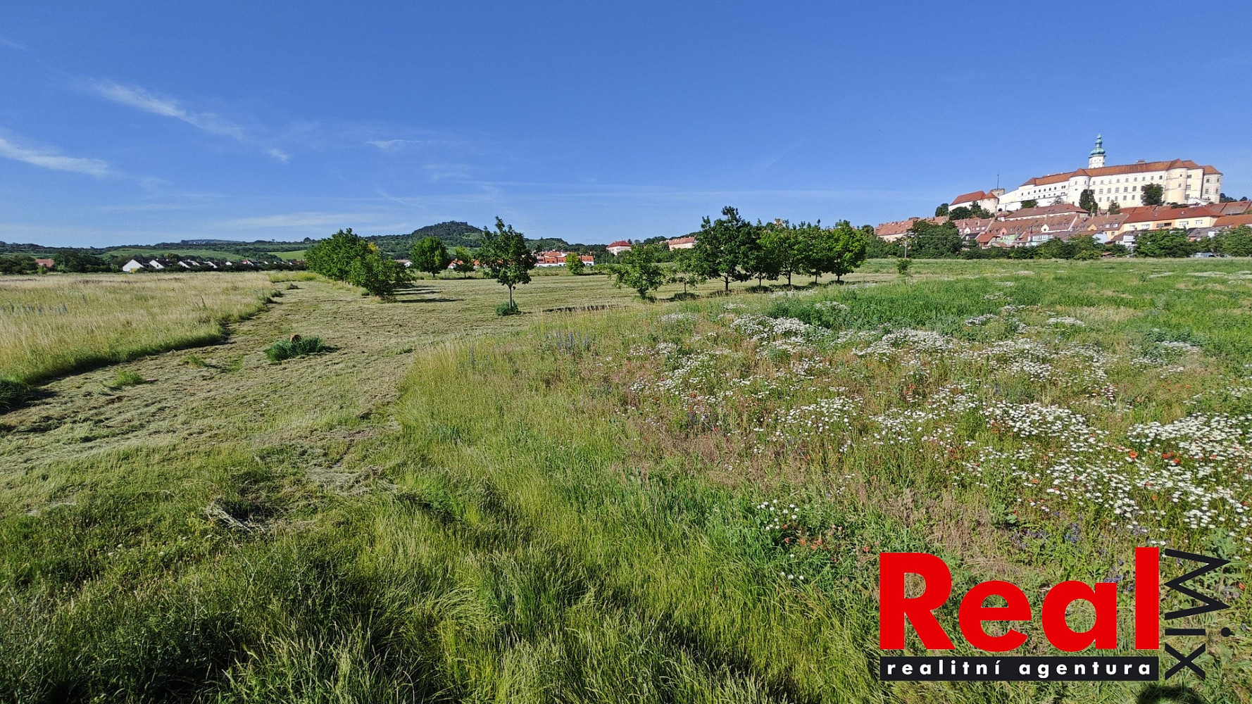Prodej stavebního pozemku 783 m² – fotografie 4