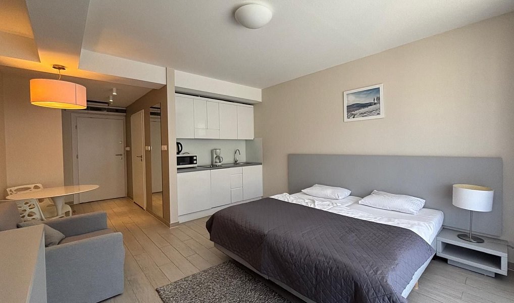 Prodej bytu 1+kk 27 m², Dolní Morava – náhled fotky 2
