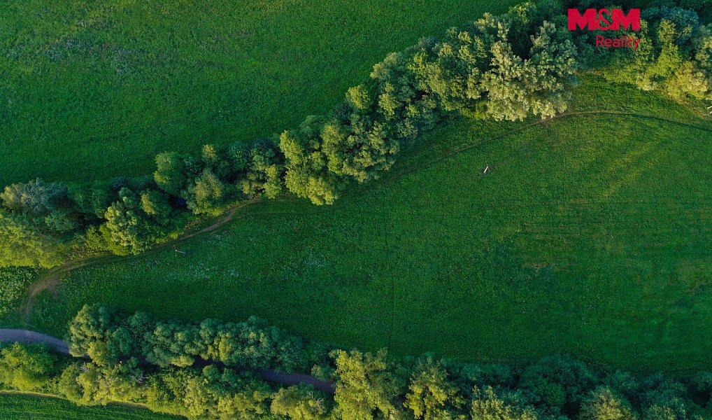Prodej louky 4 590 m², Horní Bříza – náhled fotky 19
