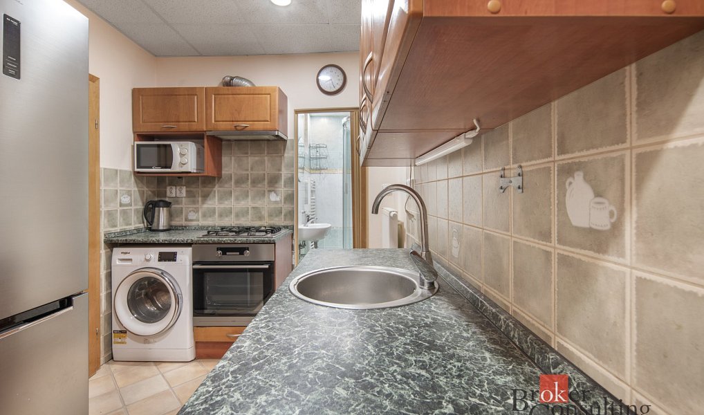 Prodej bytu 1+1 50 m², Plzeň – náhled fotky 2