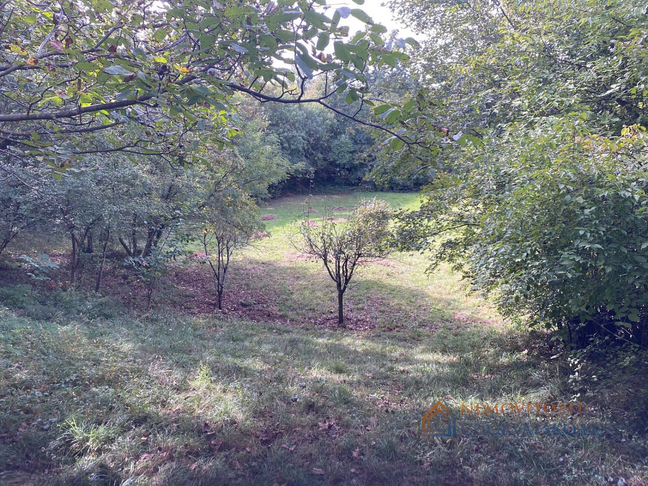 Prodej stavebního pozemku 3 470 m² - Widok 5