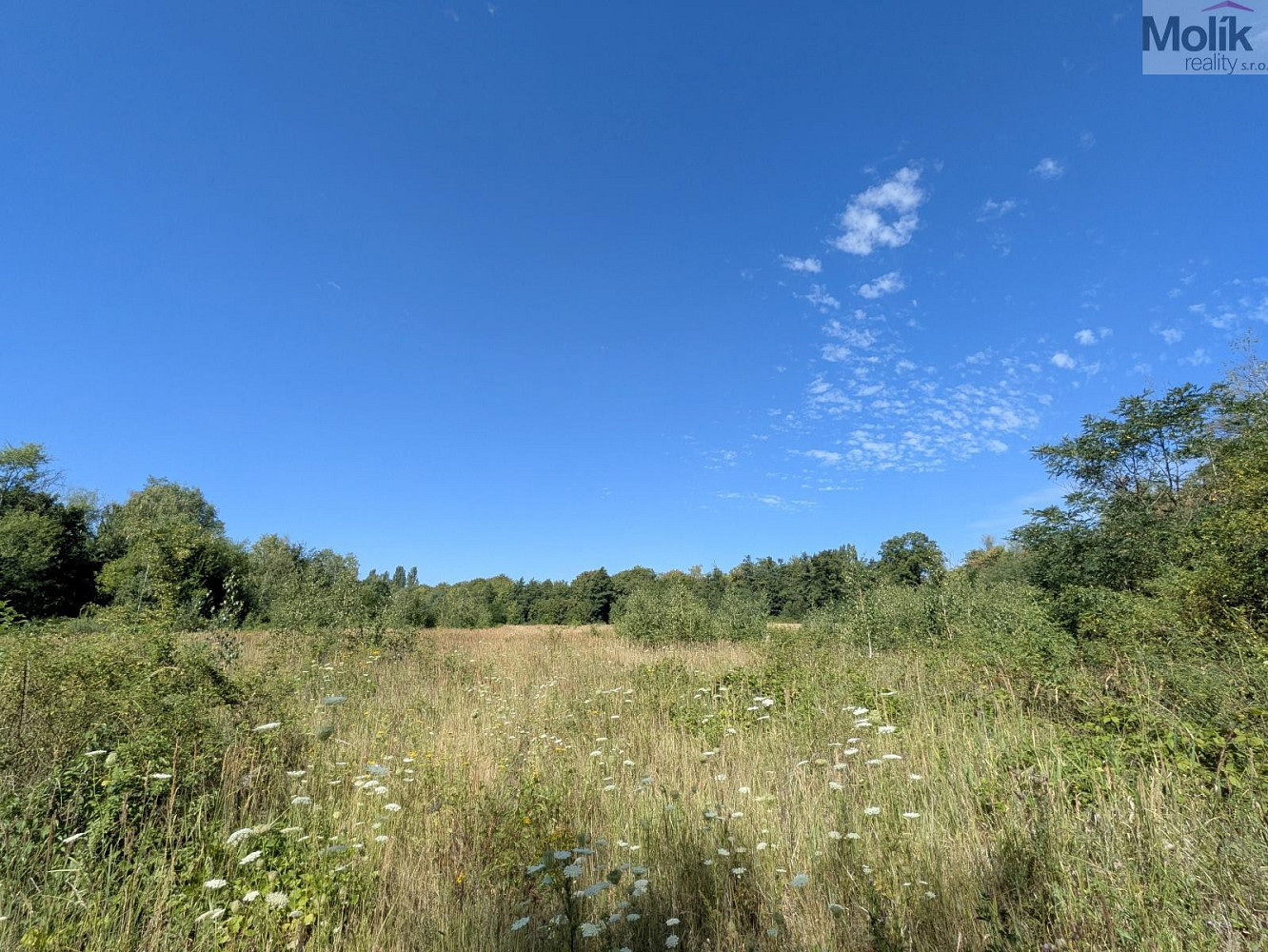 Prodej stavebního pozemku 890 m² – fotografie 4