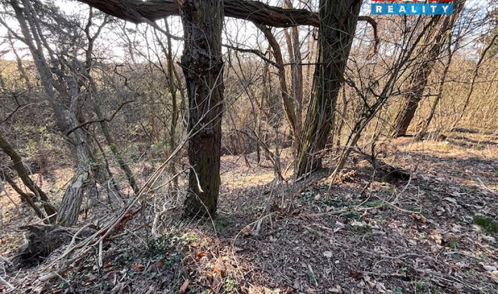Prodej stavebního pozemku 3 136 m², Škvorec – náhled fotky 8