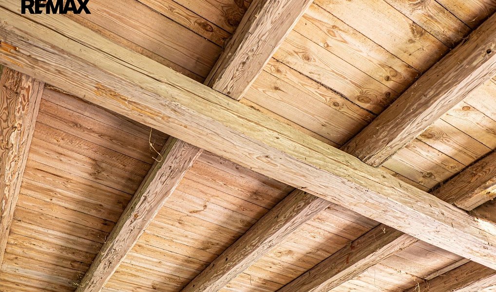 Prodej domu 1 230 m² s pozemkem 1 230 m², Velký Šenov – náhled fotky 12