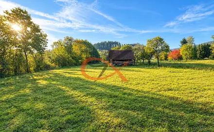 Prodej zahrady 4 190 m², Střítež nad Bečvou, okres Vsetín