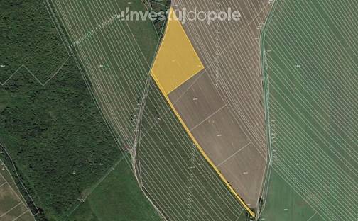 Prodej pole 2 064 m², Velká nad Veličkou, okres Hodonín