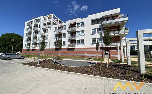 Pronájem bytu 1+kk 41 m², Rybova, Hradec Králové - Nový Hradec Králové