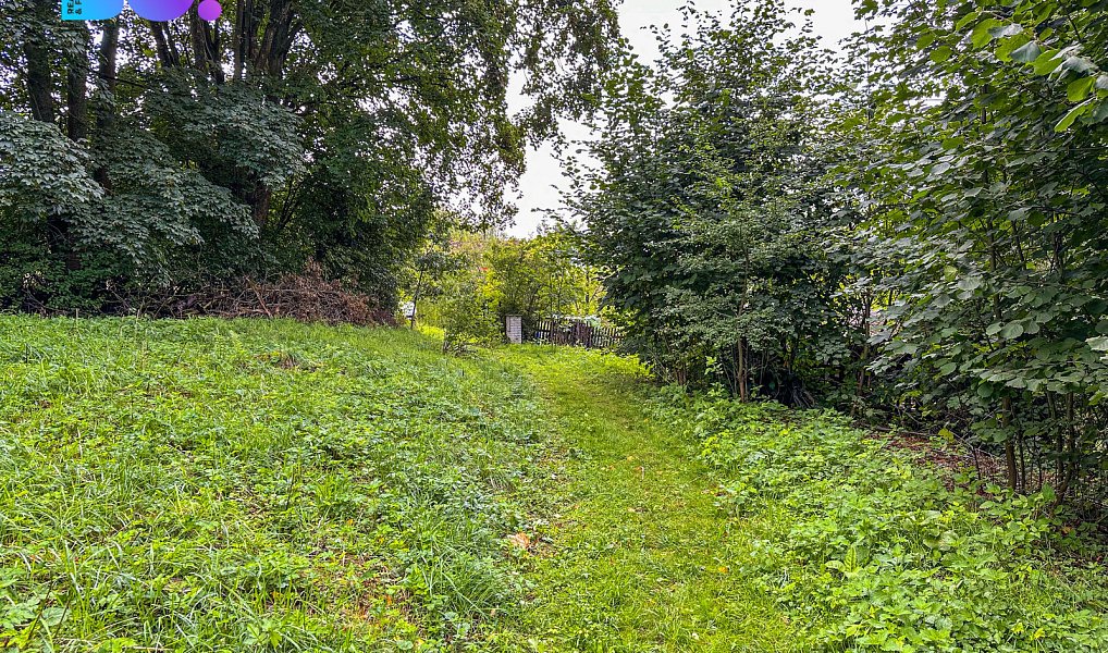 Prodej stavebního pozemku 3 959 m², Skuhrov – náhled fotky 4